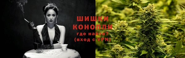 ГАЛЛЮЦИНОГЕННЫЕ ГРИБЫ Бородино