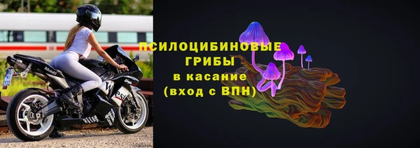 ГАЛЛЮЦИНОГЕННЫЕ ГРИБЫ Бородино