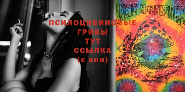 2c-b Верея