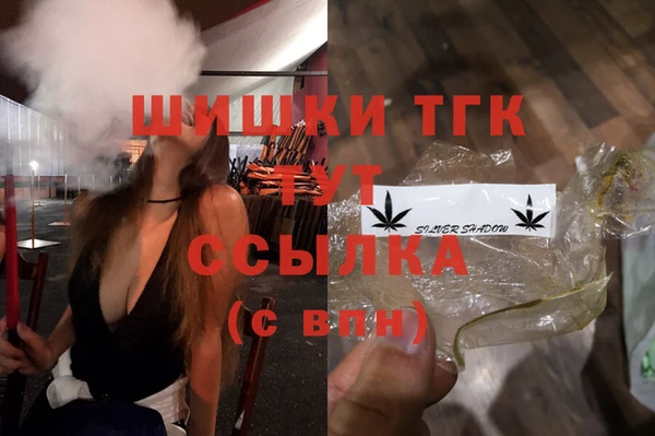 ГАЛЛЮЦИНОГЕННЫЕ ГРИБЫ Бородино