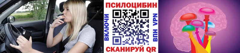 Галлюциногенные грибы Cubensis  Волгореченск 