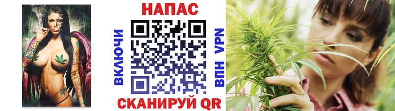 Бошки Шишки SATIVA & INDICA  купить наркотик  Волгореченск 